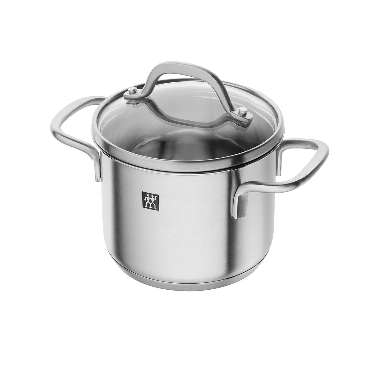 ZWILLING | Professional Stainless Steel Cooking Pot – 1 L - glass lid with silicone gasket - ideal for small dishes - induction-ready