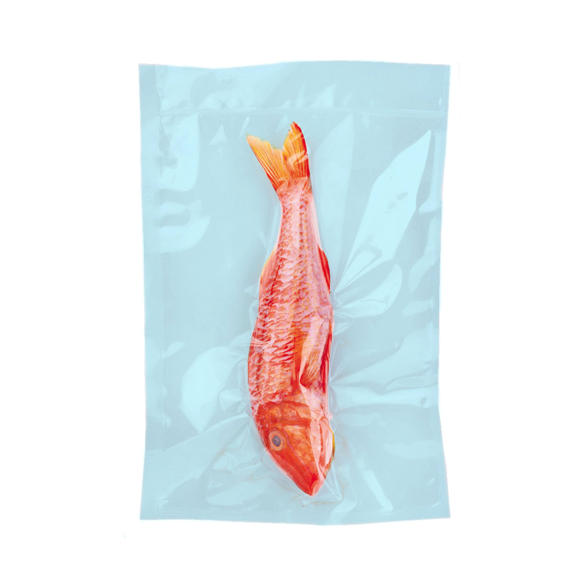 (1000 pcs) Boil in the bag pouches - Cook & Chill, Smooth - 200x300mm - Blue